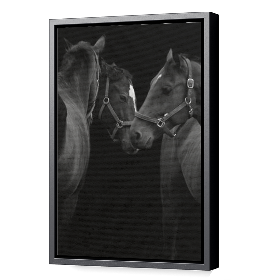 Thumbnail for Canvas - Black Floating Frame