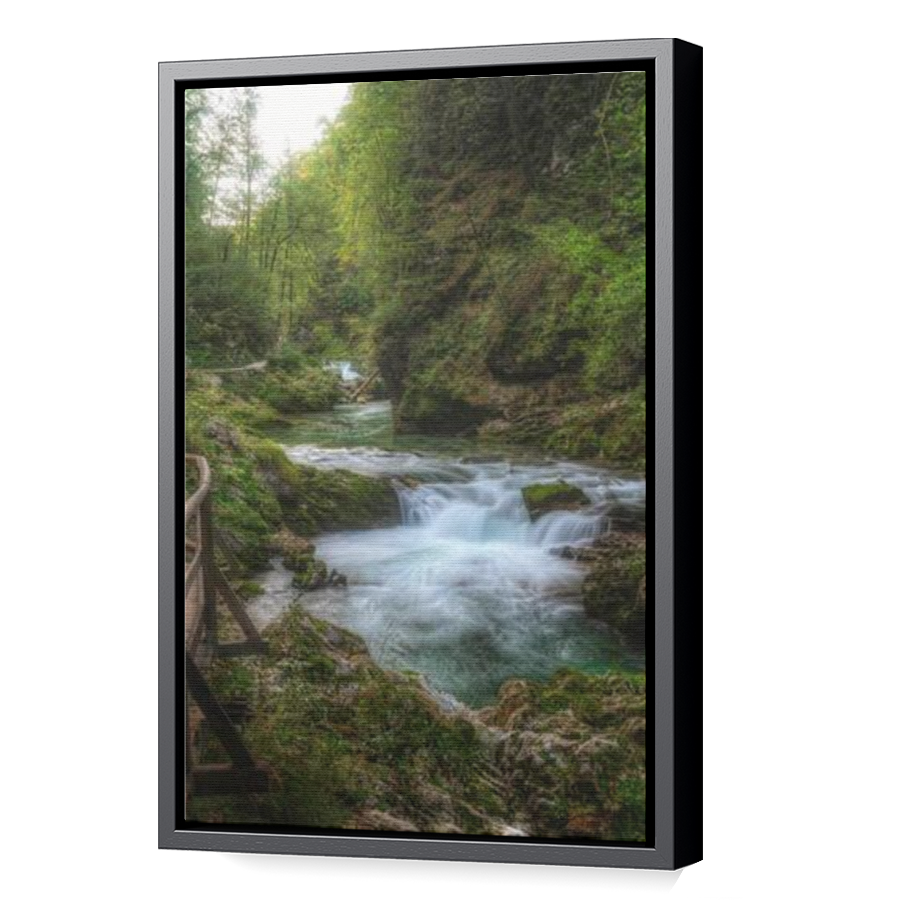 Thumbnail for Canvas - Black Floating Frame