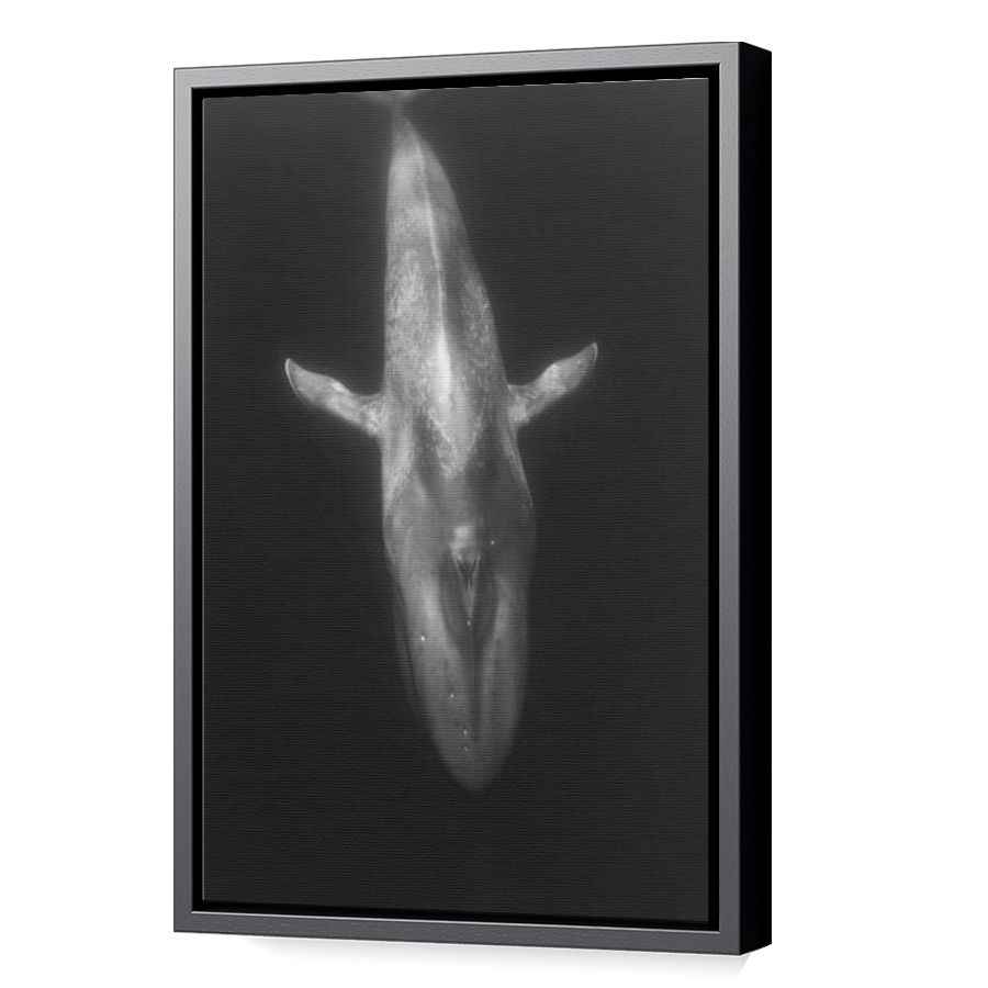 Thumbnail for Canvas - Black Floating Frame