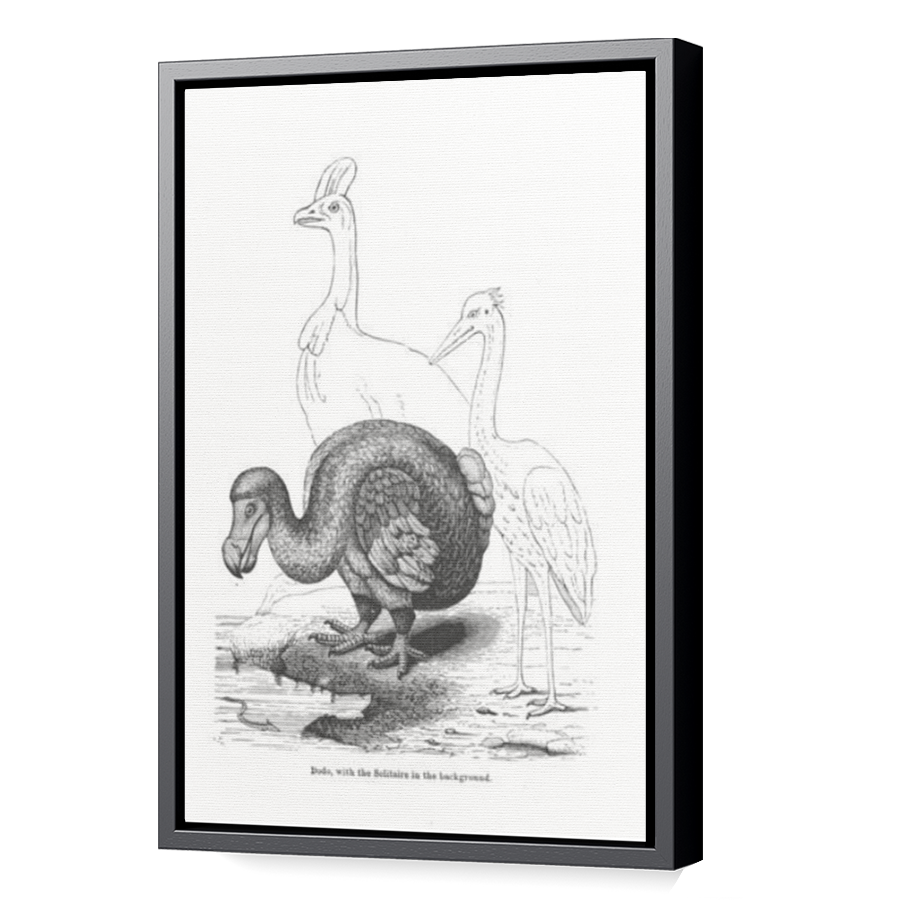 Thumbnail for Canvas - Black Floating Frame