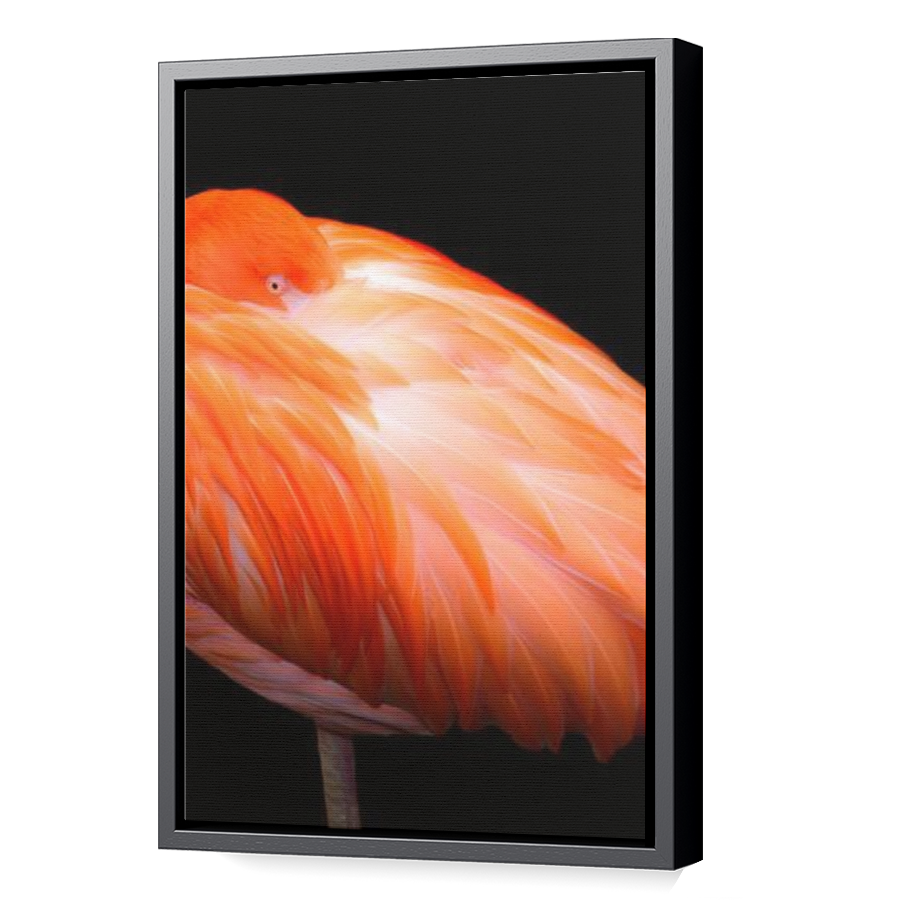 Thumbnail for Canvas - Black Floating Frame