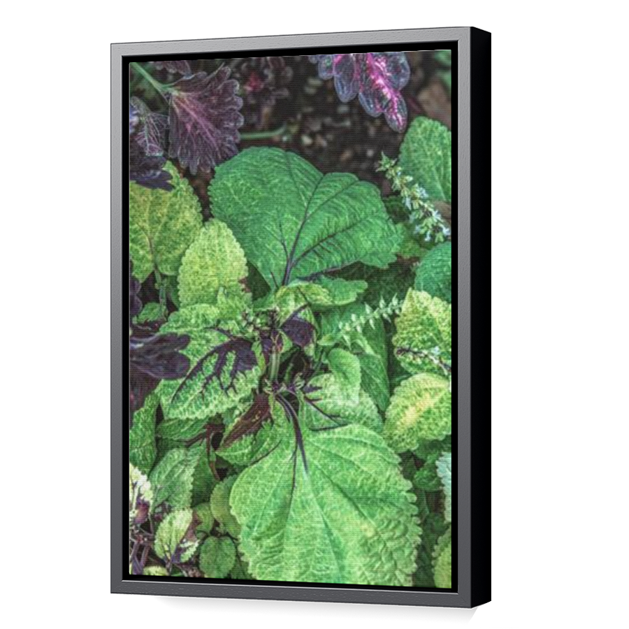 Thumbnail for Canvas - Black Floating Frame