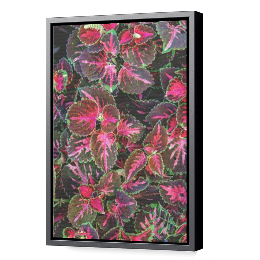 Thumbnail for Canvas - Black Floating Frame