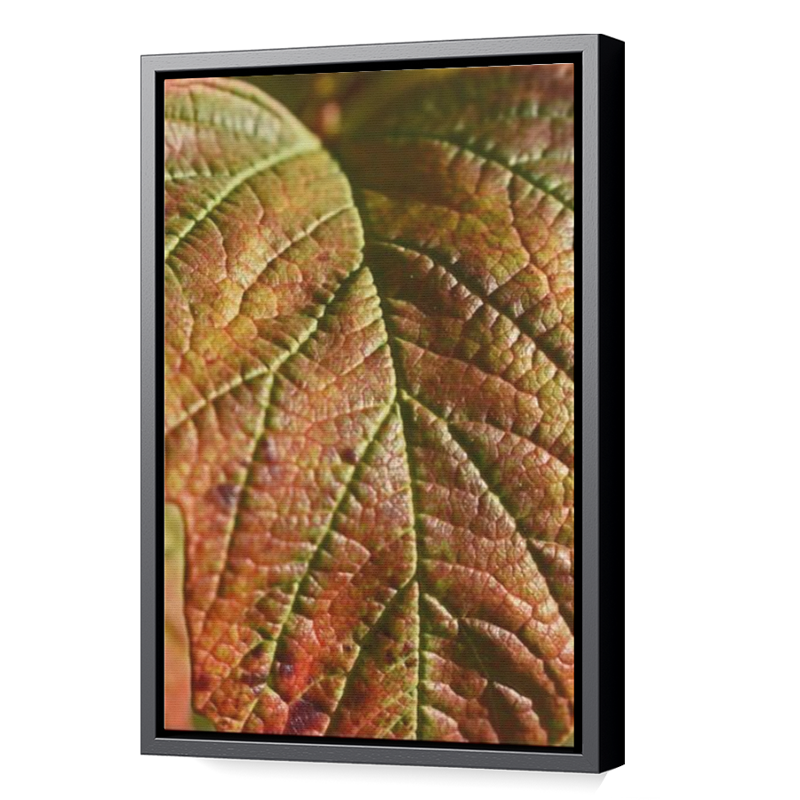 Thumbnail for Canvas - Black Floating Frame