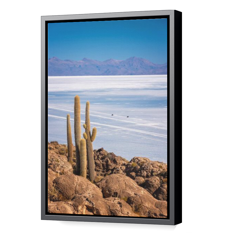 Thumbnail for Canvas - Black Floating Frame