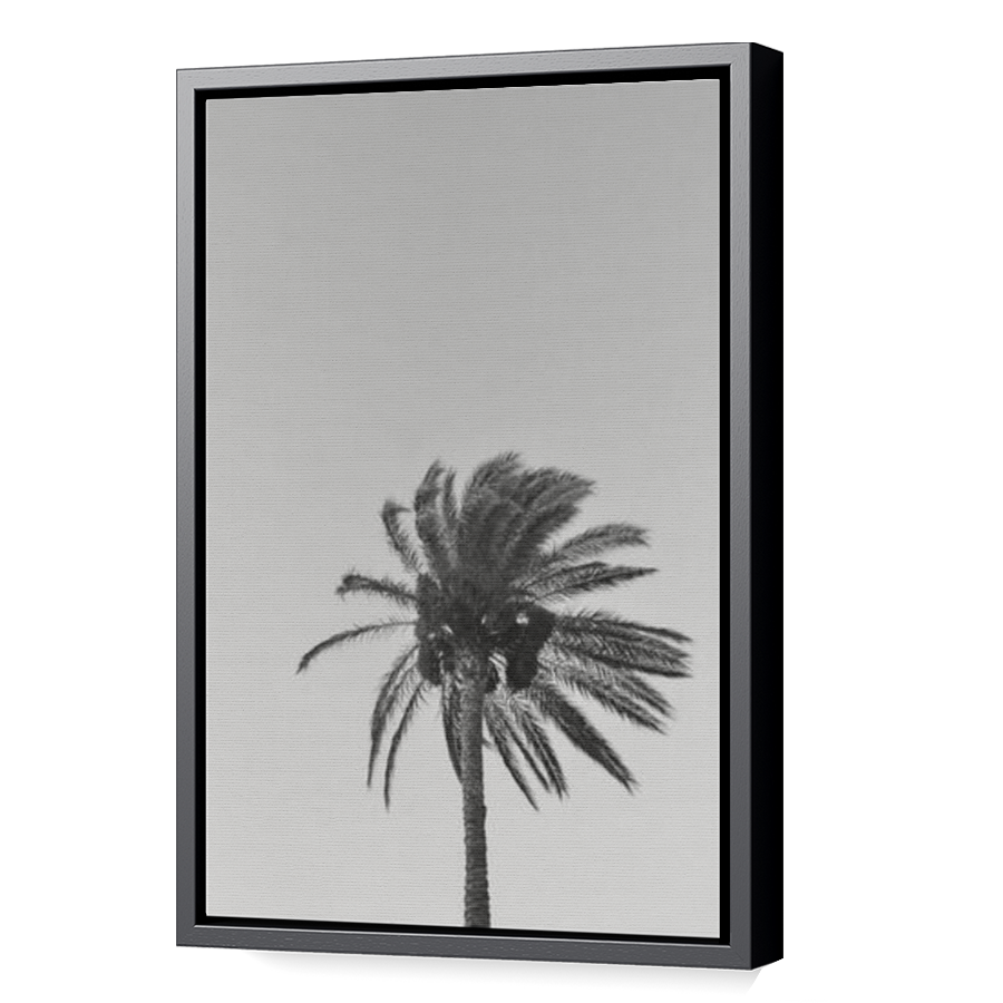 Thumbnail for Canvas - Black Floating Frame