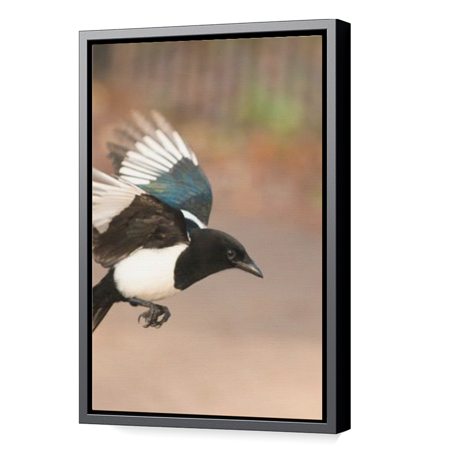 Thumbnail for Canvas - Black Floating Frame