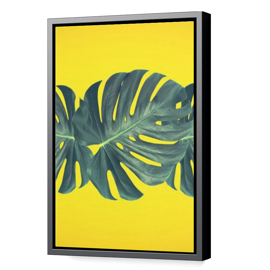 Thumbnail for Canvas - Black Floating Frame