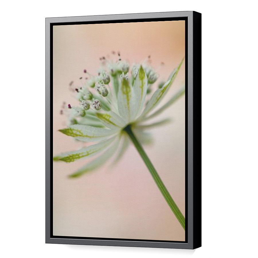 Thumbnail for Canvas - Black Floating Frame