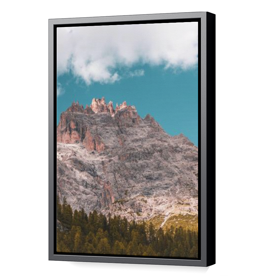 Thumbnail for Canvas - Black Floating Frame