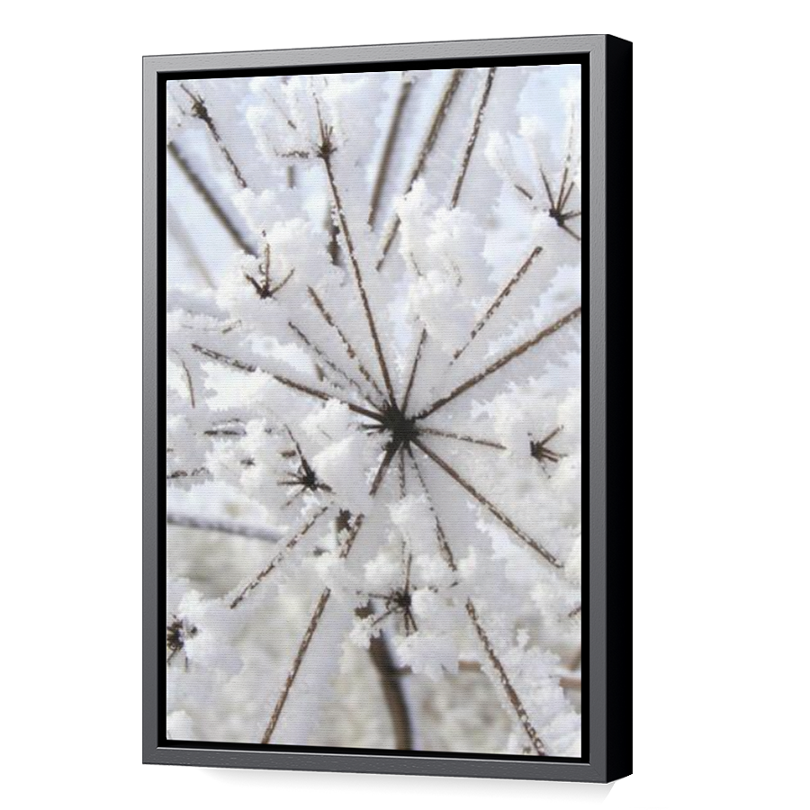 Thumbnail for Canvas - Black Floating Frame