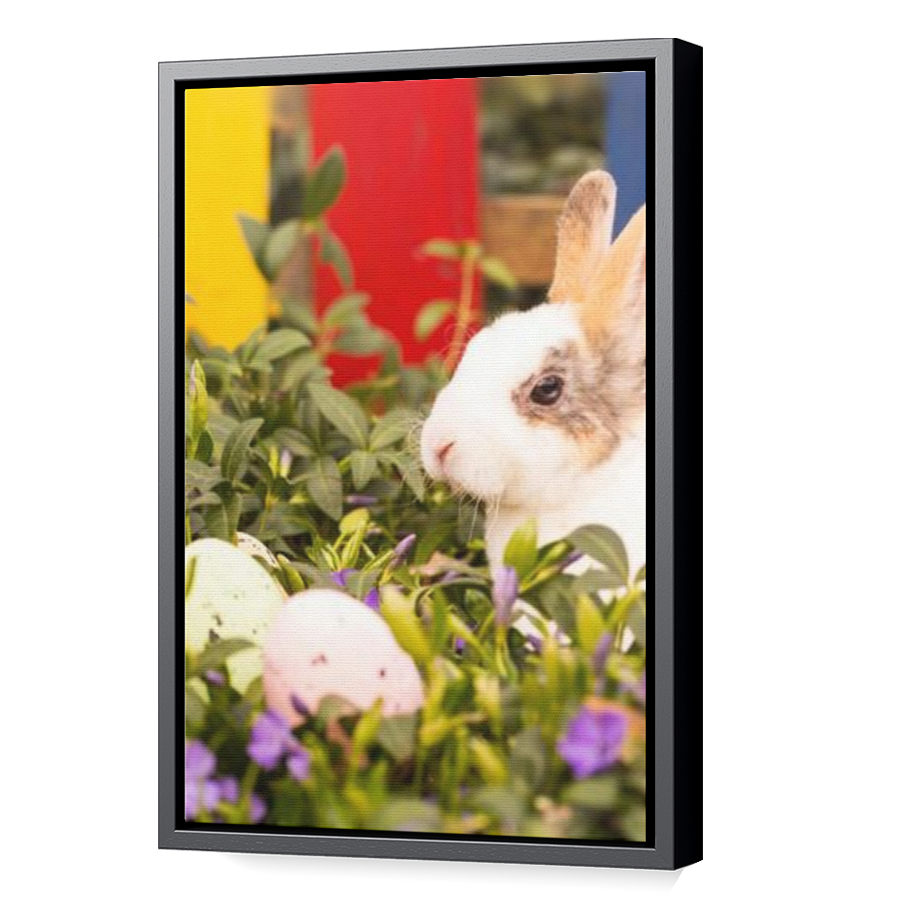 Thumbnail for Canvas - Black Floating Frame