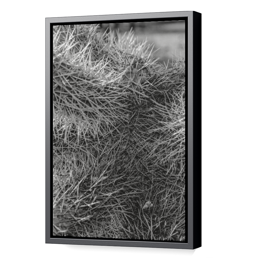 Thumbnail for Canvas - Black Floating Frame