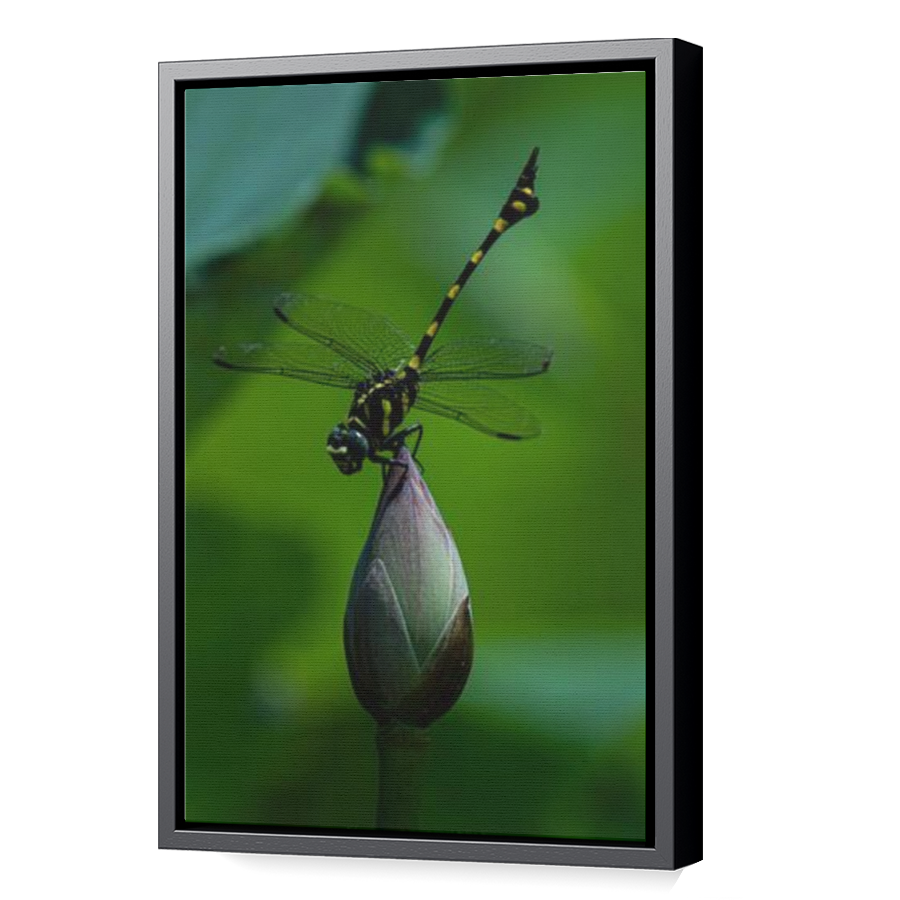Thumbnail for Canvas - Black Floating Frame