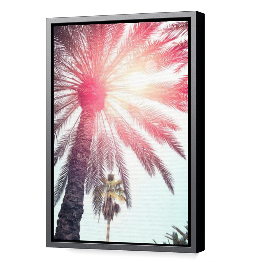 Thumbnail for Canvas - Black Floating Frame