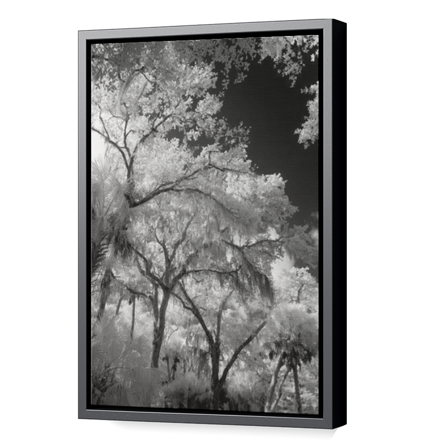 Thumbnail for Canvas - Black Floating Frame