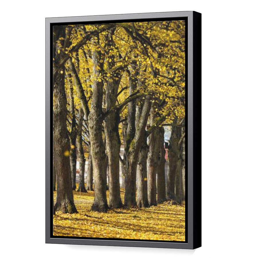 Thumbnail for Canvas - Black Floating Frame