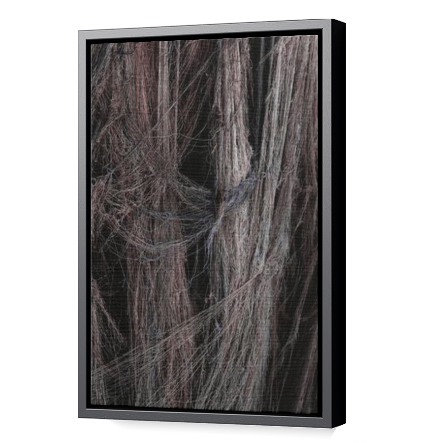 Thumbnail for Canvas - Black Floating Frame