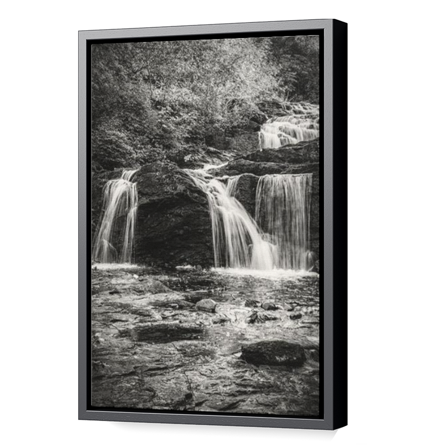 Thumbnail for Canvas - Black Floating Frame
