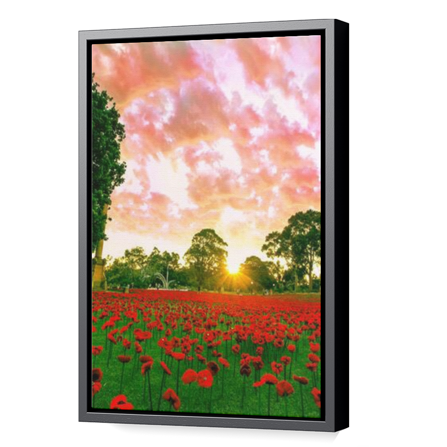 Thumbnail for Canvas - Black Floating Frame
