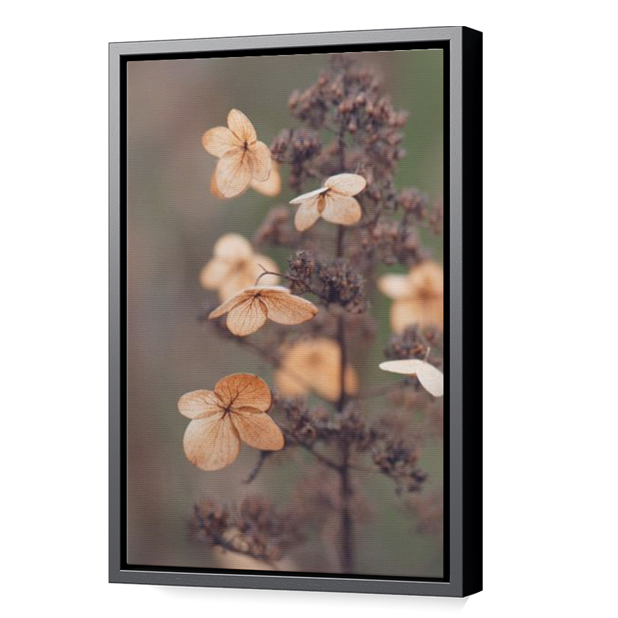 Thumbnail for Canvas - Black Floating Frame