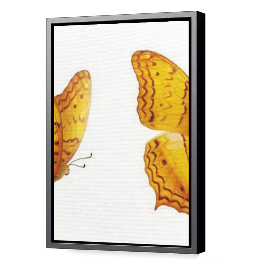 Thumbnail for Canvas - Black Floating Frame