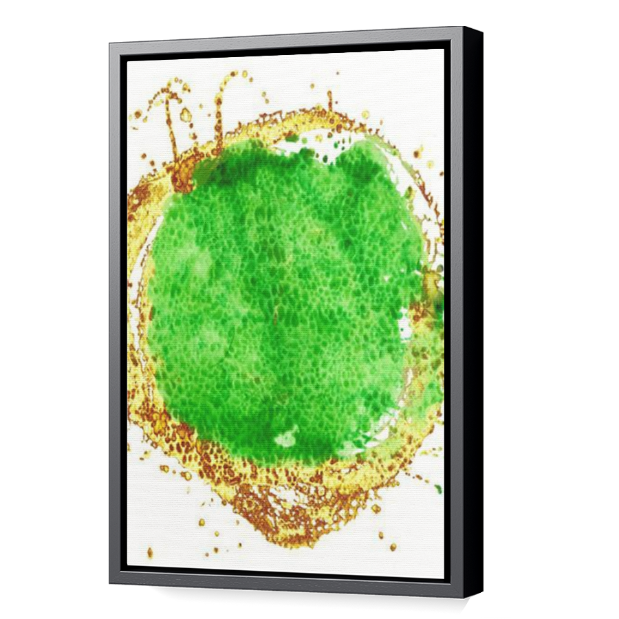 Thumbnail for Canvas - Black Floating Frame
