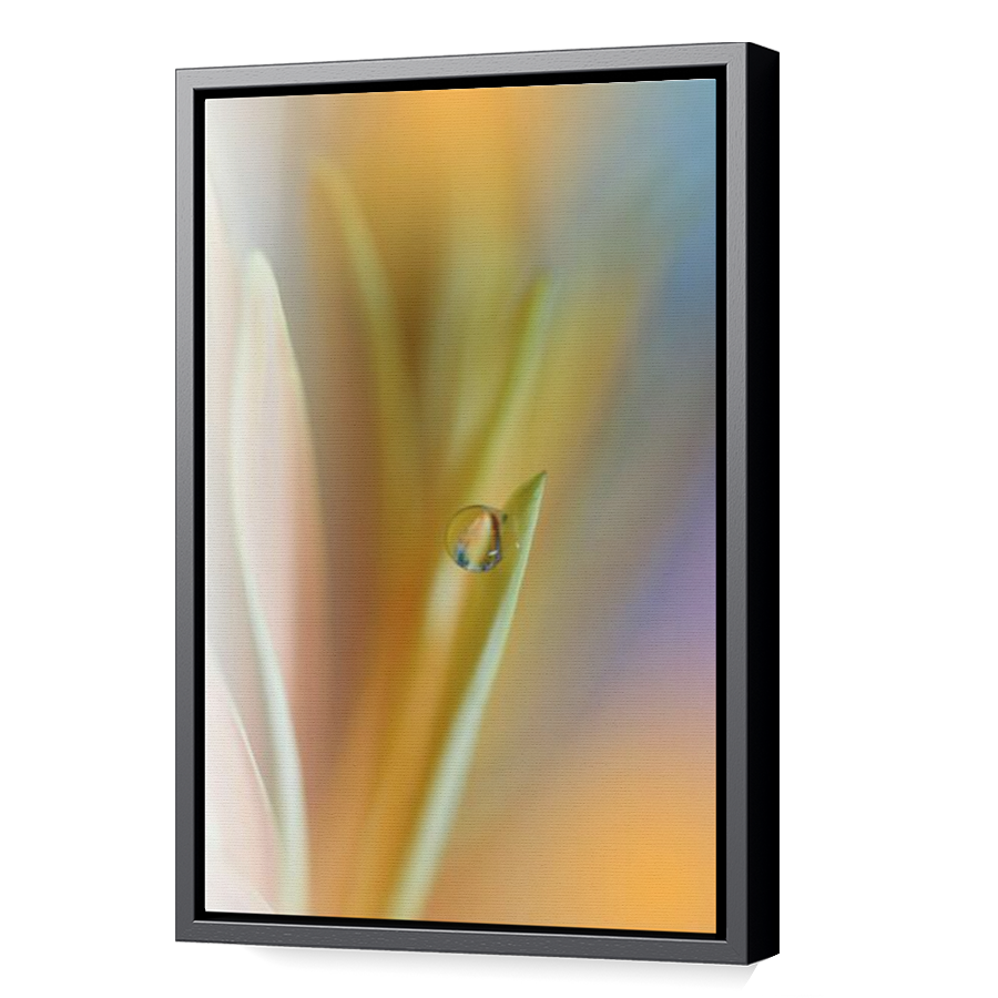 Thumbnail for Canvas - Black Floating Frame