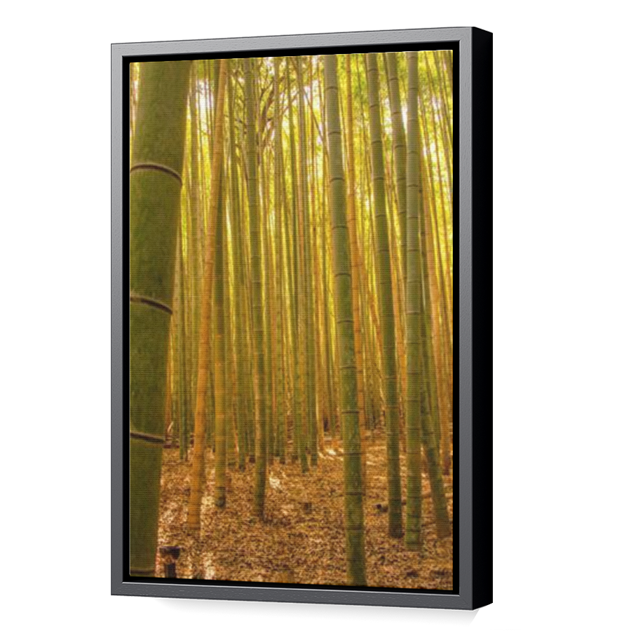 Thumbnail for Canvas - Black Floating Frame