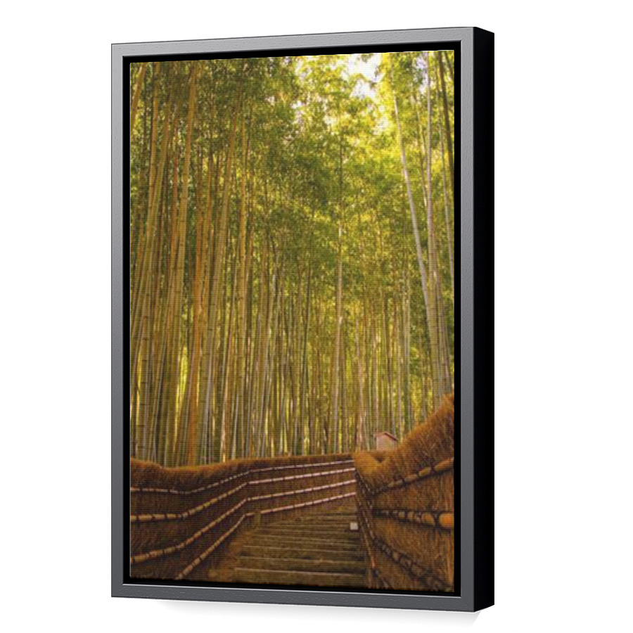 Thumbnail for Canvas - Black Floating Frame
