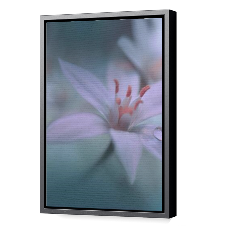 Thumbnail for Canvas - Black Floating Frame