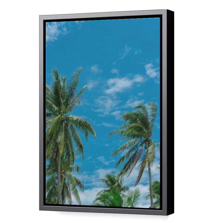 Thumbnail for Canvas - Black Floating Frame