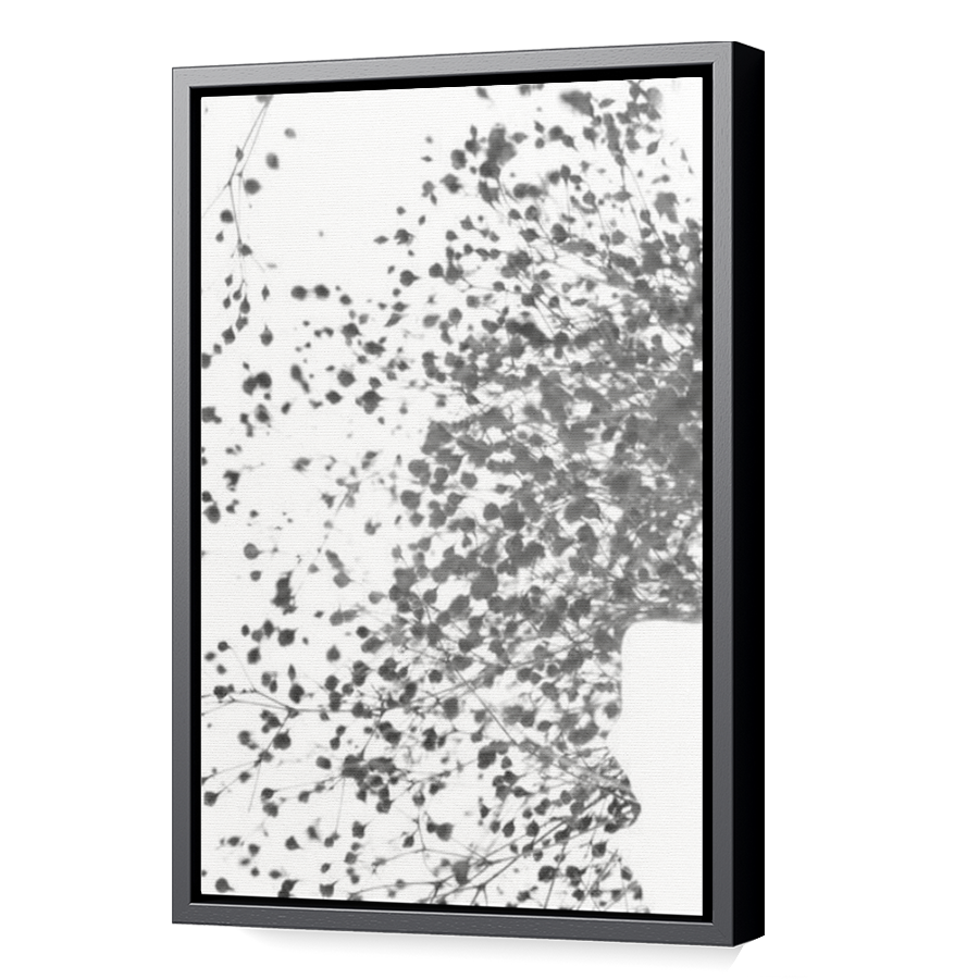 Thumbnail for Canvas - Black Floating Frame