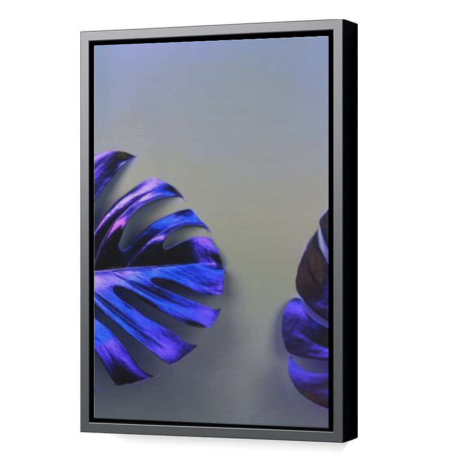 Thumbnail for Canvas - Black Floating Frame