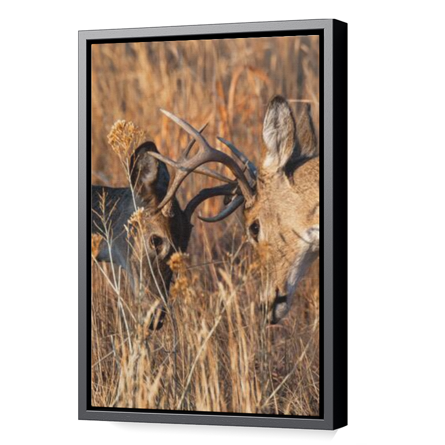 Thumbnail for Canvas - Black Floating Frame