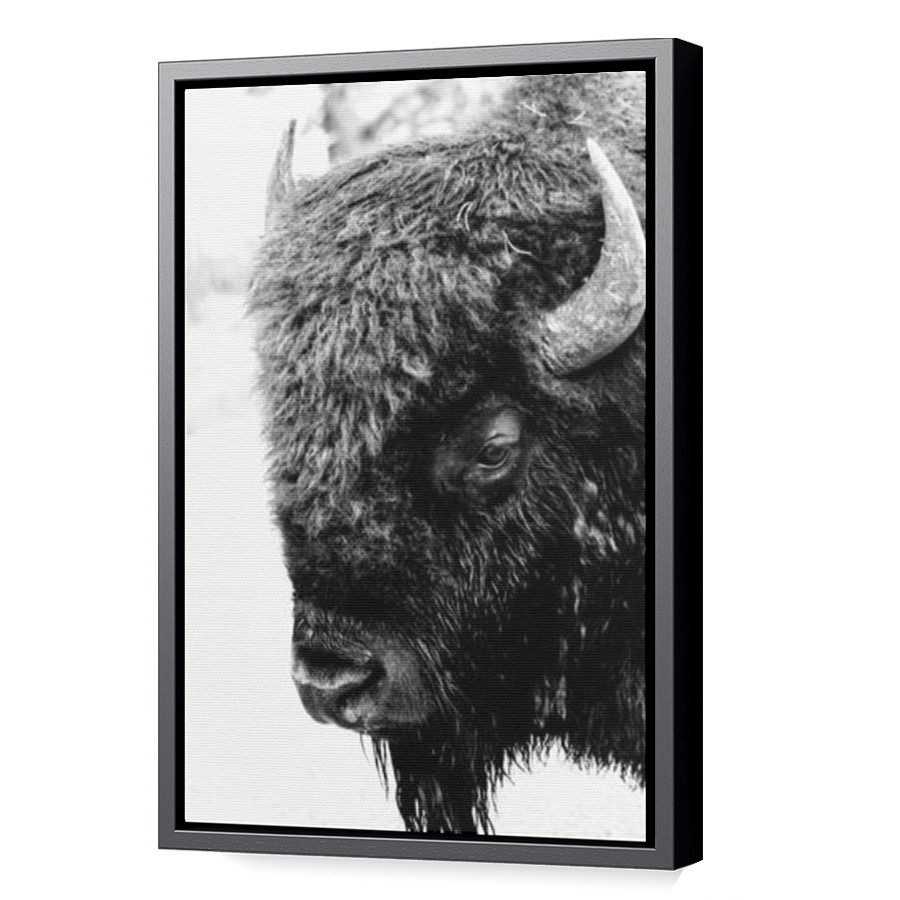 Thumbnail for Canvas - Black Floating Frame