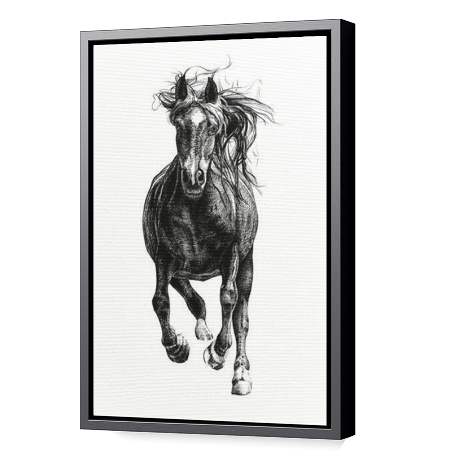 Thumbnail for Canvas - Black Floating Frame