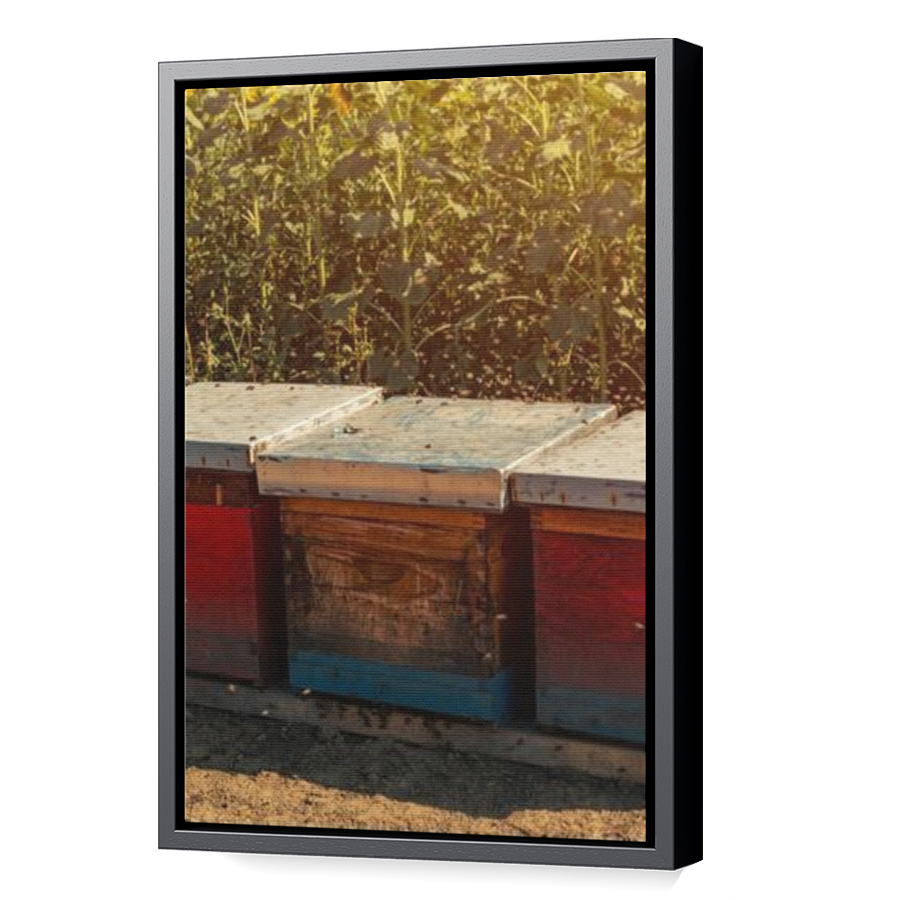 Thumbnail for Canvas - Black Floating Frame