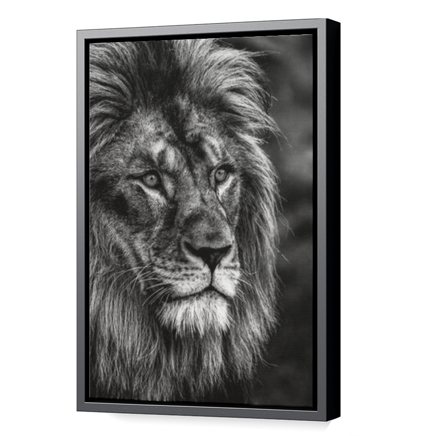 Thumbnail for Canvas - Black Floating Frame