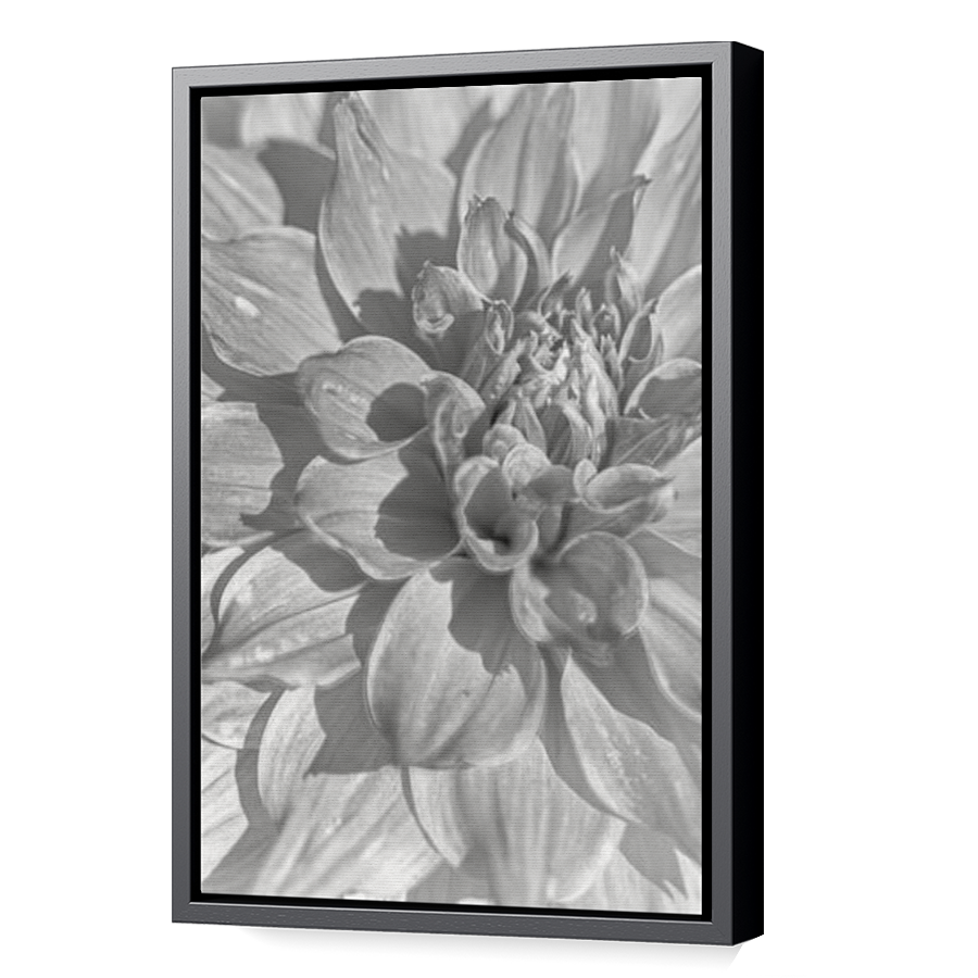 Thumbnail for Canvas - Black Floating Frame