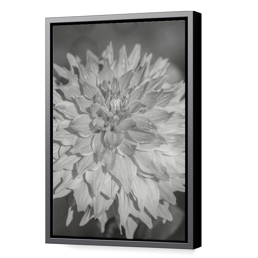 Thumbnail for Canvas - Black Floating Frame