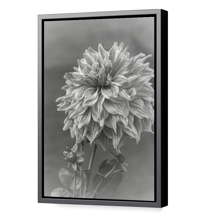 Thumbnail for Canvas - Black Floating Frame