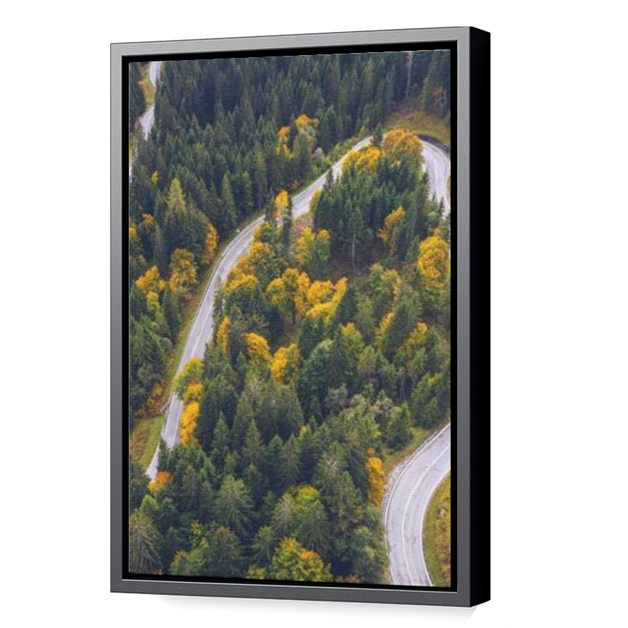 Thumbnail for Canvas - Black Floating Frame