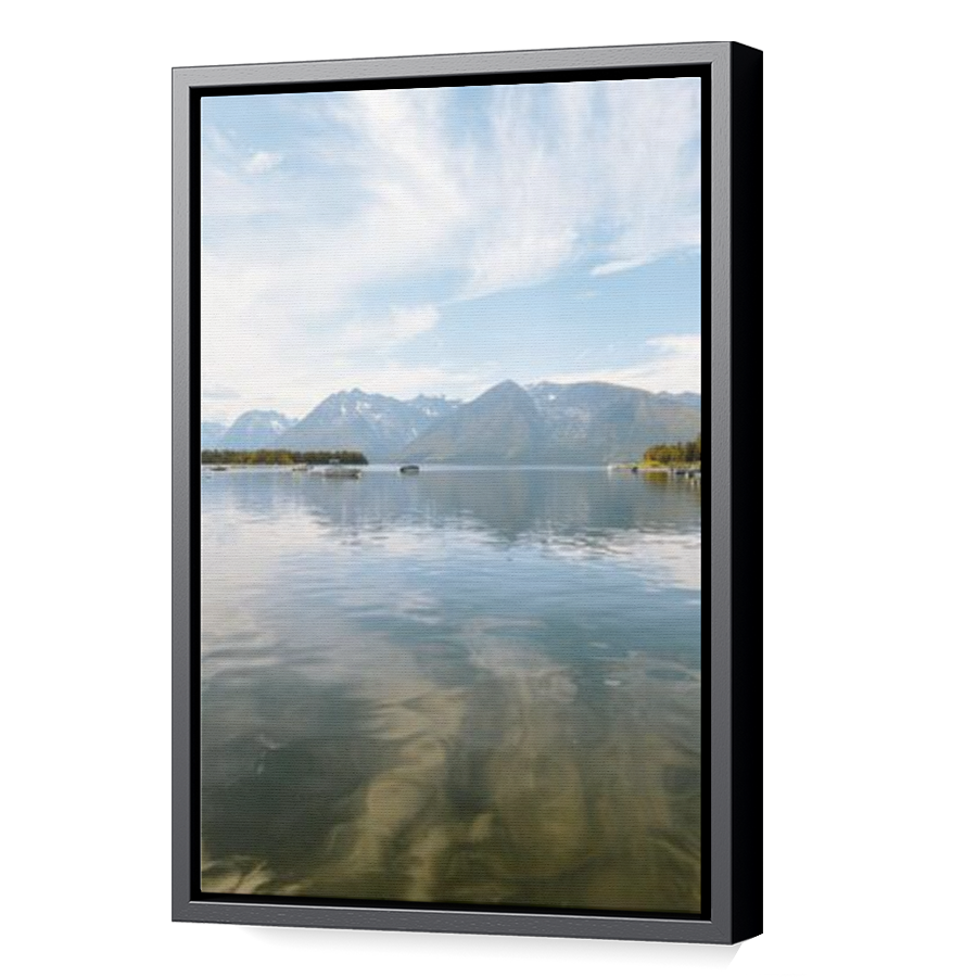 Thumbnail for Canvas - Black Floating Frame