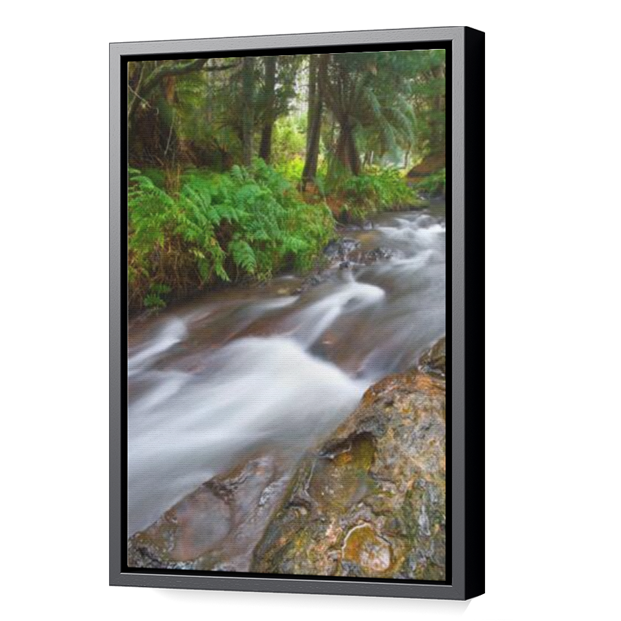 Thumbnail for Canvas - Black Floating Frame