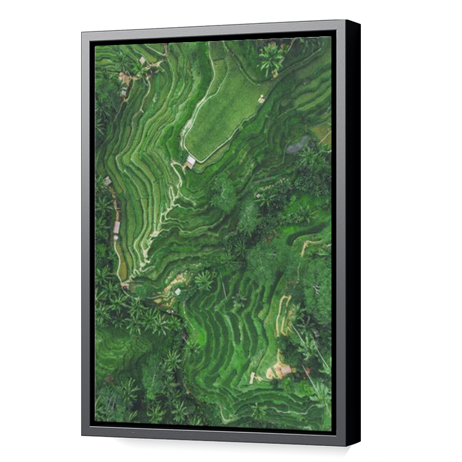 Thumbnail for Canvas - Black Floating Frame
