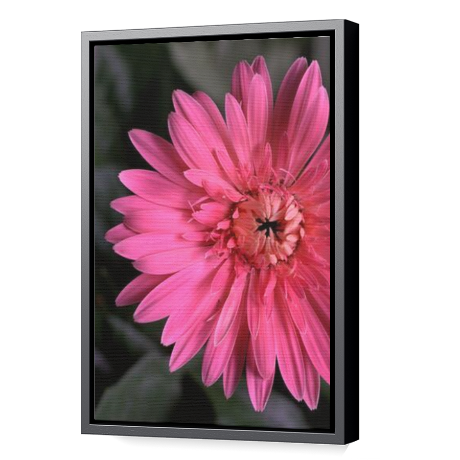 Thumbnail for Canvas - Black Floating Frame