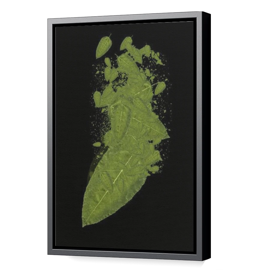 Thumbnail for Canvas - Black Floating Frame