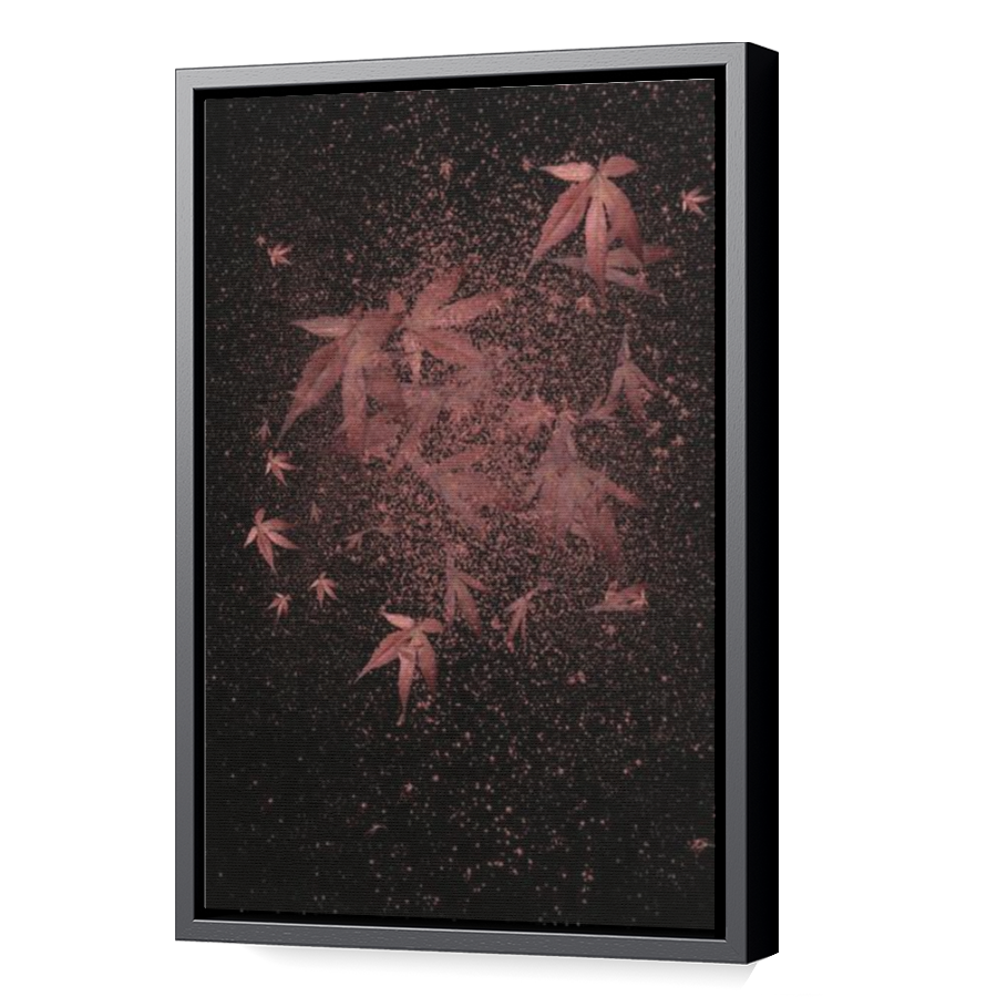 Thumbnail for Canvas - Black Floating Frame