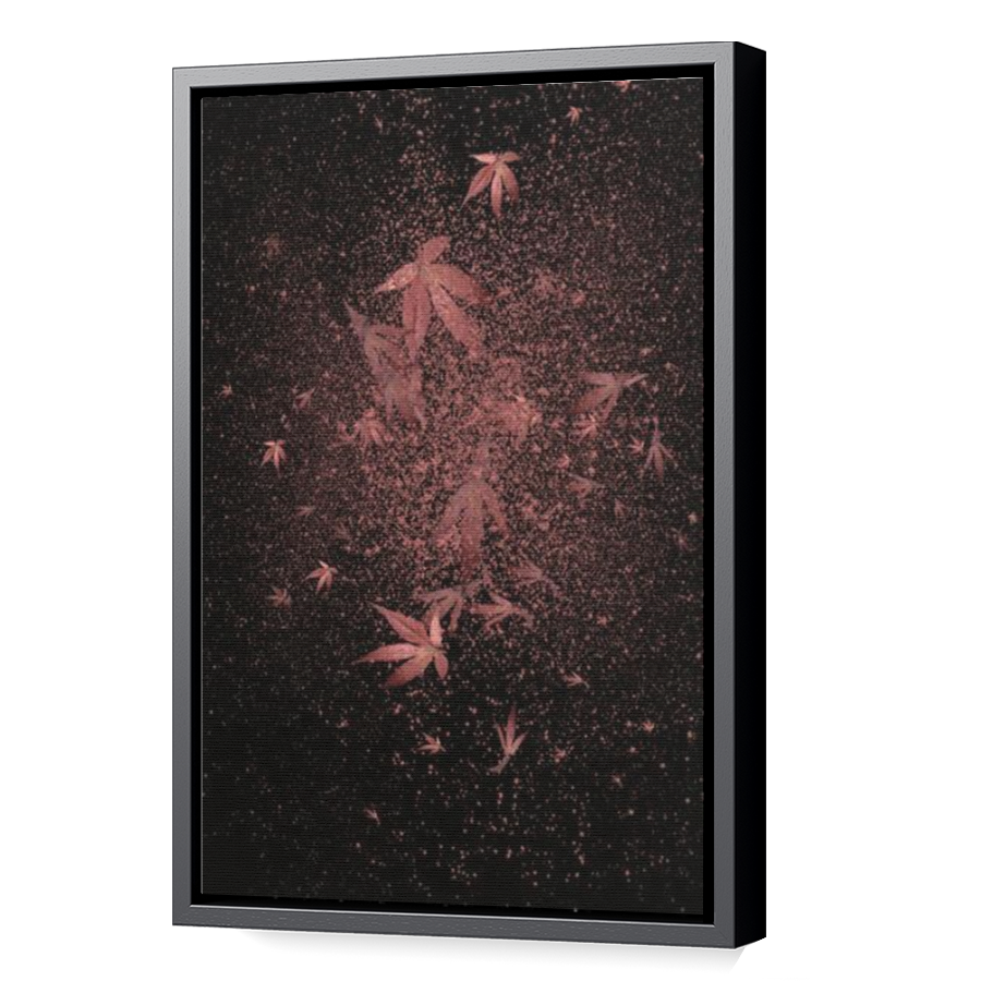 Thumbnail for Canvas - Black Floating Frame